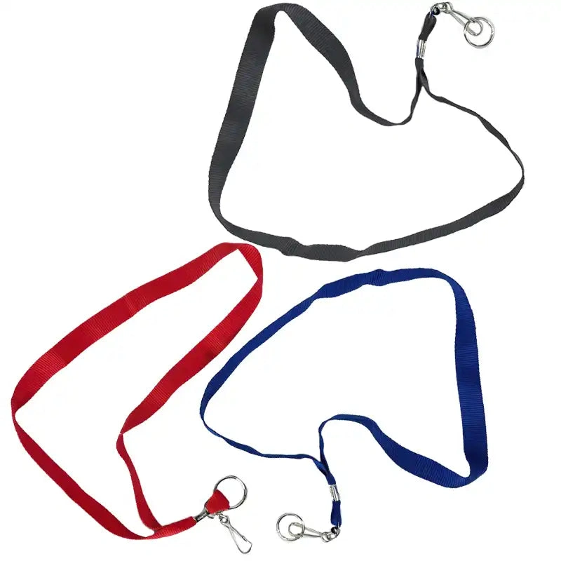 17 Lanyards